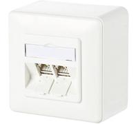 BTR Netcom réseaudose Aufputz CAT 6A 2 Port Metz Connect blanc