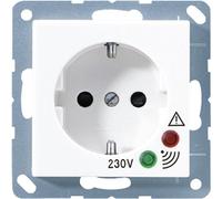 Prise SCHUKO 16A 250V blanc alpin - Prise A 521 UF WW