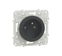 Prise terre 1 poste Odace Anthracite Schneider