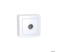 Schneider Electric Prise TV simple Alréa mâle blindée 1 sortie Blanc