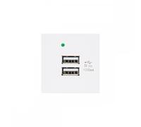 Maclean MCE728W USB Steckdose Ladegerät 2x USB-Anschluss bis 2.1A Fast Charge Modulare Wandsteckdose Unterputzdose Wanddose Einbaudose Unterputz Montage (USB-Steckdose 2.1A, Weiß)