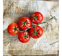 Pro-Art-Bilderpalette g1722a Tableau Mural Impression gi Motif Tomates 30 x 30 cm, Multicolore, 50 x 50 cm
