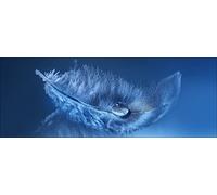 Pro-Art-Bilderpalette gla1080 °C Tableau Mural en Verre Art Plumes 80 x 80 x 30 cm