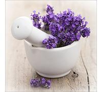 Pro-Art-Bilderpalette gla730b Décoration Murale sous Verre Motif Lovely Lavender III 50 x 50 cm