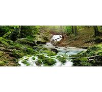 Pro-Art-Bilderpalette gla985o Mystic Ways Cadre Mural en Verre Motif ruisseau/sous-Bois Dimensions 50 x 125 cm