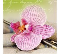 Pro Art Image sous Verre Orchidee I - 50 x 50 cm