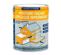 PRO COM Peinture façade - Blanc