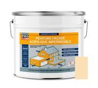 Pro Com Peinture façade crépi Pierre 10L