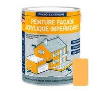PRO COM Peinture façade PROCOM - Jaune