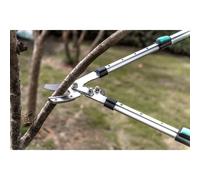 Pro coupe branche pro télescopique lame enclume - SUAN