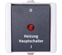PROAQA 541356004 - ProAQA - interrupteur principal du chauffage, gris