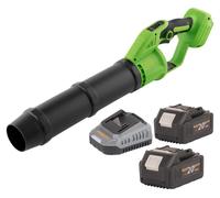 Procraft PB24b Souffleur de feuilles sans fil 20 V Brushless + 2x batterie 4,0 Ah + chargeur