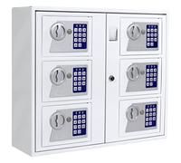 Profirst Partras 6000 distributeur de clés tôle d'acier peinte par poudrage serrure à cylindre avec 2 clés 6 petits coffres-forts séparés verrouillables armoire à clés