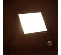 Projecteur à LED avec capteur - vidaXL - 50 W - Blanc chaud - 23x19,5 cm - Aluminium et verre - 3000 K