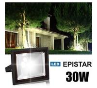 Projecteur à LED pour l'extérieur LEDFLOOD-30WH G
