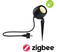 Projecteur de jardin Paulmann LED Kikolo respectueux des insectes