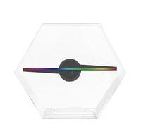 Projecteur holographique publicitaire 3D de 30 cm, Ventilateur, vidéo Wi-FI, Lampe LED pour Halloween, Noël