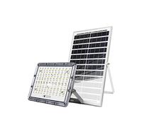Projecteur LED 13W Extérieur 9000K avec Panneau Solaire 15W Gris