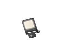 Projecteur LED ENDURA Flood Sensor 30 W 3000 K IP44 IR 3150 lm