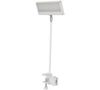 Projecteur LED EUROLITE KKL-40 3CT blanc - Spots à LED/Projecteurs LED