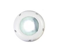 Projecteur LED NORIA à visser Blanc froid 1.5" 20W CCEI