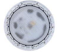 Projecteur LED NORIA à visser Blanc froid 1.5" 20W CCEI