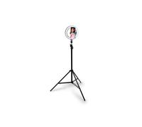 Projecteur Zircon 150 W avec lumière de 6500 K, 15 000 lm de puissance et étanche IP65. Compact et efficace, mesure 22 x 27 x 3,7 cm, parfait pour éclairer les espaces extérieurs.