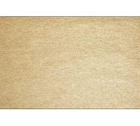 Pronappe 500 Sets de Table Papier Kraft Lisse 30x40cm Kraft