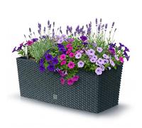 Prosperplast Pot de fleurs Rato Case DRTC500 S433 – système d'arrosage – anthracite