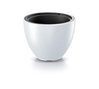 PROSPERPLAST Pot de fleurs Heos (blanc, 435x569)