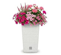 Pot de fleurs + insert pot de fleurs aspect rotin RATO SQUARE DRTS265 blanc
