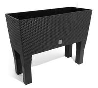 Prosperplast Jardinière surélevée Rato Case High DRTC600H 60x25x46 cm Polyrotin 30L