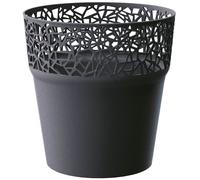 PROSPERPLAST TREE pot de fleurs, 12 cm, anthracite, DTRE120-S433