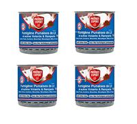PROTECT EXPERT 4 Fumigènes Anti Insectes Volants & Rampants - 100m²