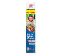 PROTECT EXPERT Aérosol Pour Nid De Guêpes Frelons & Frelons Asiatiques - 750 ML - Mousse - Jet Longue Portée Pulvérisation Jusqu’à 6m - Traitement A Distance - Action Choc & Foudroyante GUEP750