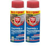 PROTECT EXPERT Anti Fourmis & Fourmilières - Poudrage Et Arrosage - 1kg - Lutte Contre Les Fourmis FOURPOUD1000N