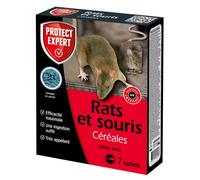 Protect Expert Anti-Rats & Souris - 7 Sachets Céréales - 140g | Efficacité Radicale - Lieux Secs - Prêt à l'Emploi - Une Ingestion Suffit - Très Appétent - DIF140