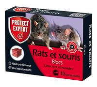 PROTECT EXPERT Anti Rats & Souris - Efficacité Radicale - lieux secs & humides - 10 Blocs extrudés Fluorescent - 300g - Prêt à l'emploi - Une Ingestion Suffit- Très Appétent FB300N
