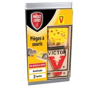PROTECT EXPERT SOUTAP2 Pieges a Souris-2 Tapettes Bois-Rapide, Precis Et Faciles A Utiliser, Incolore