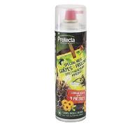 PROTECTA - Aérosol glu - Anti guêpes et frelons spécial nids - 500 ml - Sans insecticide - UAB - Longue portée jusqu'à 4 mètres (1, Lot)