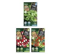 PROTECTA - Lot de 3 graines de légumes spécial balcon BIO françaises - Semences reproductibles origine France - Haute germination - Basilic, Radis, Tomate cerise - Potager, Jardin et Balcon