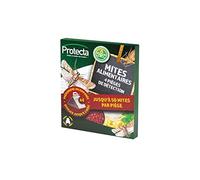 Acto Pièges à mites alimentaires Protecta – Phéromone, sans insecticide, inodore – x4