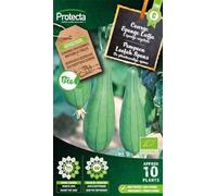 PROTECTA Semence Courge Eponge Luffa BIO