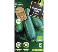 PROTECTA Semence Courgette Verte de Milan BIO