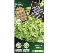 PROTECTA Semence Laitue Feuille de Chêne BIO