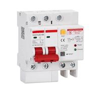 Protecteur de fuite de disjoncteur à courant résiduel 2P-PE-220V(50A)