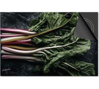 Protection induction 78x52 - plaque de recouvrement induction mat- Dietrix Protection de table de cuisson- Exclusif - Fruits et légumes - Rhubarbe