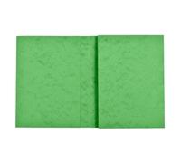 Protège cahier carte lustrée 265g - 24x32 cm - Tilleul