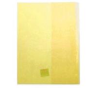 ELBA Lot de 3 Protège-cahiers PVC 150 Strong Line 24x32 cm Translucide jaune