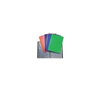 Protège-Documents Soudé Exacompta Opaque Polypro 40 Pochettes A4 Assortiment - 10 Unités